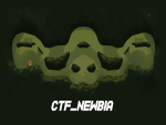 ctf_newbia